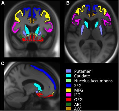 Dopamine D2/3-receptor availability and its association with autonomous motivation to exercise in older adults: An exploratory [11C]-raclopride study